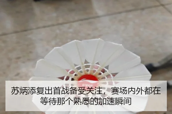 苏炳添复出首战备受关注，赛场内外都在等待那个熟悉的加速瞬间（kaiyun）